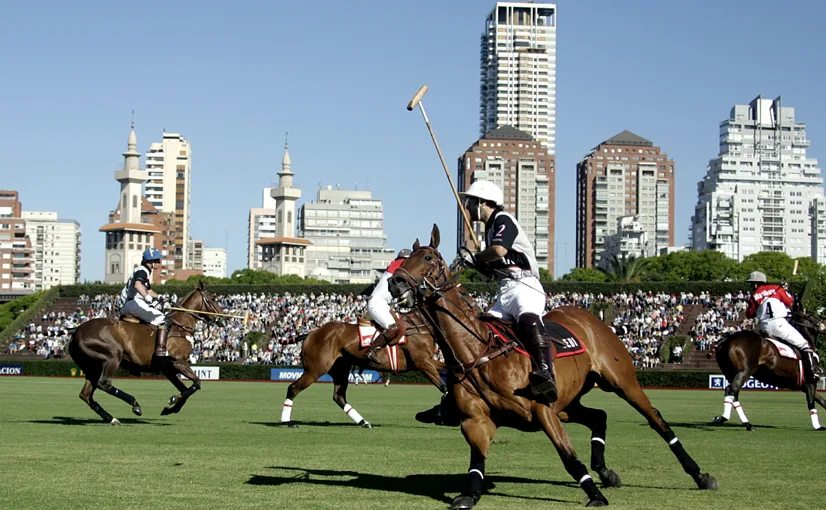 Polo training session